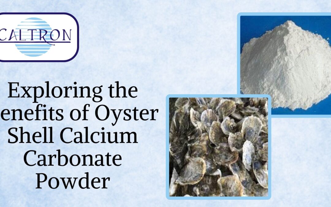 Exploring the Benefits of Oyster Shell Calcium Carbonate Powder